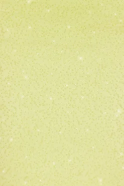 Oh Polly Women'S Clothing Sale - $65 And Under | Women'S Clothing Sale - $40 And Under^Embellished Side Split Maxi Skirt in Lime Green LimeGreen