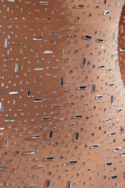 Oh Polly Party Dresses | Birthday^Sheer Embellished Long Sleeve Evening Gown in Almond